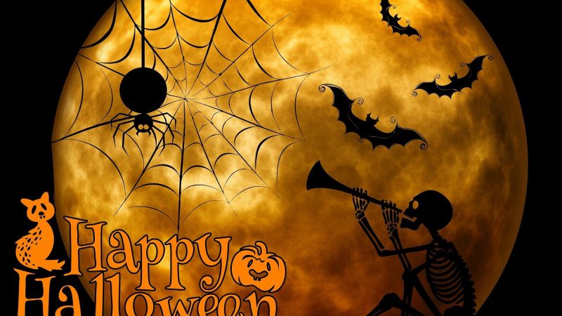 ஹாலோவீன் தினமின்று☠