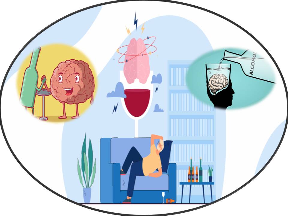 அதிக குடிப்பழக்கத்தால் பாதிப்புக்குள்ளான மூளை சேதத்தை சரிசெய்ய எவ்வளவு காலம் ஆகும்? ஆய்வு முடிவு!