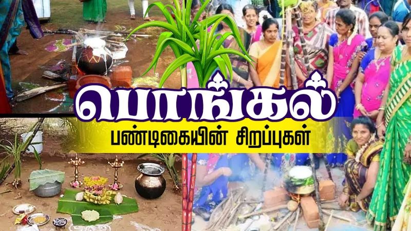 நன்றி கூறும் திருவிழாவே பொங்கல் என்னும் கொண்டாட்டம்!