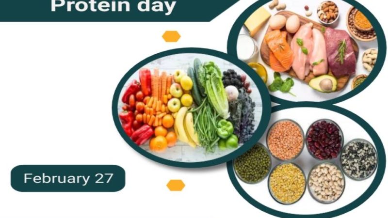 தேசிய புரதச்சத்து தினம்! -முழு ரிப்போர்ட்!