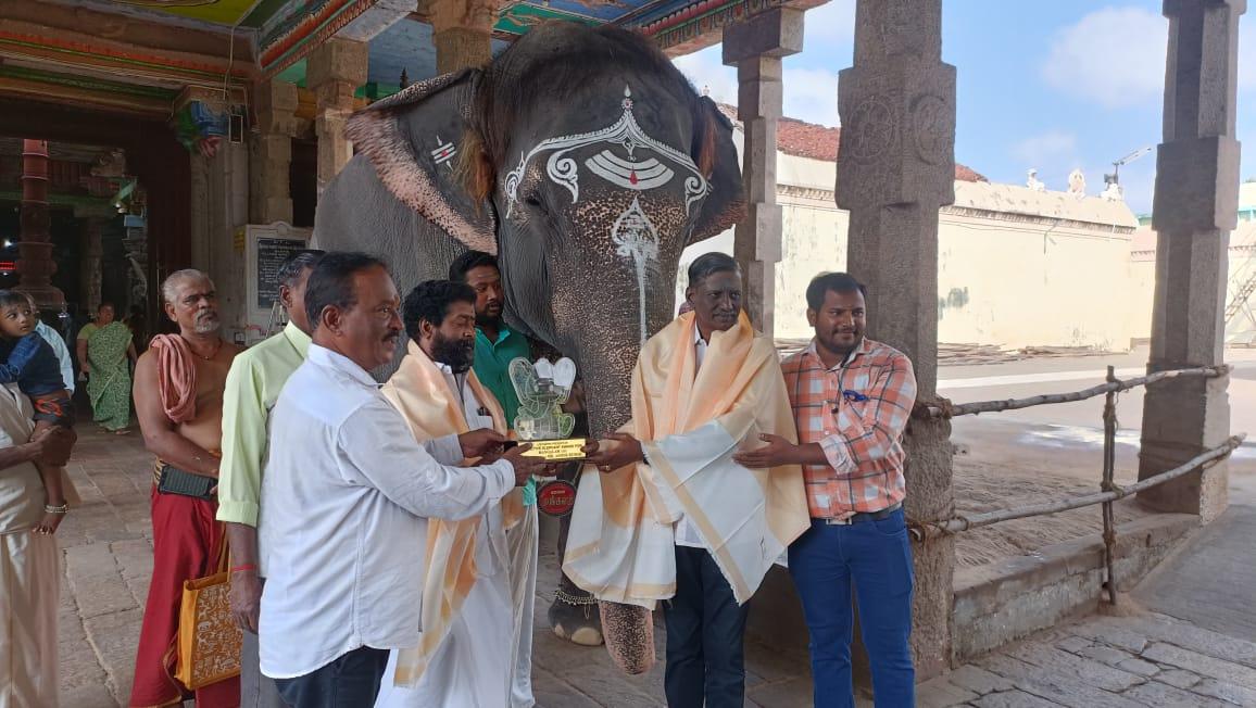 கும்பகோணம் கோயில் யானை மங்களத்திற்கு சுறுசுறுப்பு யானைக்கான சிறப்பு விருது!