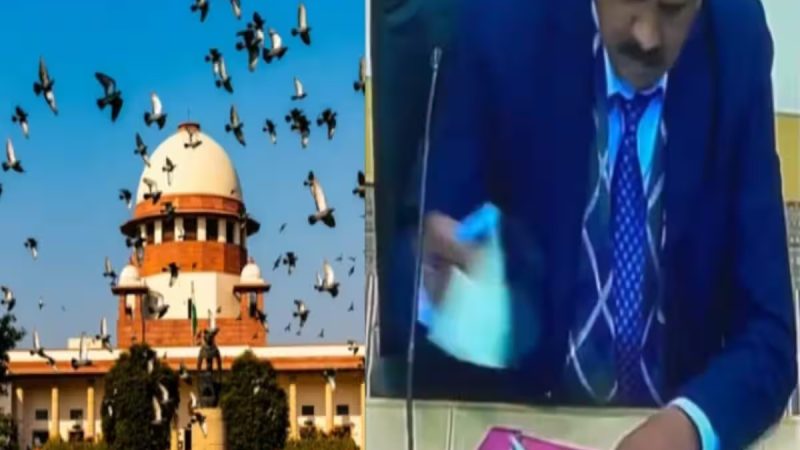 சண்டிகர் மேயர் தேர்தலில் கோல்மால் – சுப்ரீம் கோர்ட் அதிரடி!