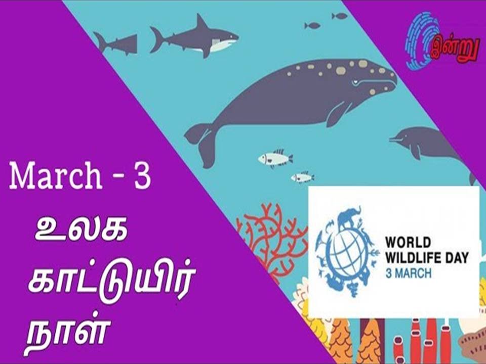 உலகக் காட்டுயிர் தினம்!