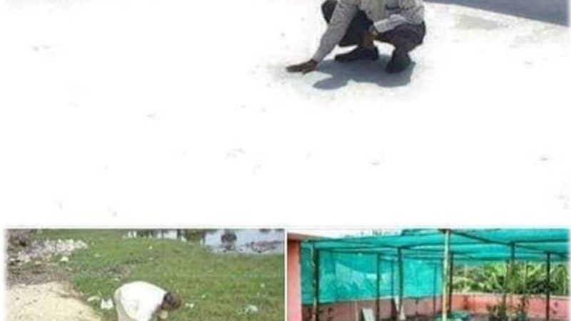 கோடையை வரவேற்போம்-ஏசி இல்லாமல் கோடையைச் சமாளிக்க என்ன செய்யலாம்?