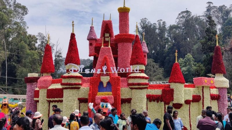 ஊட்டி தாவரவியல் பூங்காவில் 126வது மலர் கண்காட்சி தொடங்கியது!