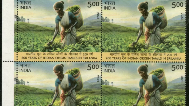 ரஜினியை ஏமாற்றிய இலங்கை பெருந்தோட்ட சமூகம்- ஆராயும் அரசு!