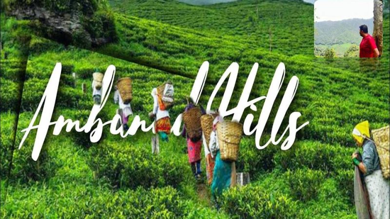 நெடும்பாறை-அம்பாநாடு-பிரியா எஸ்டேட் ஒரு நாள் பயணம்!