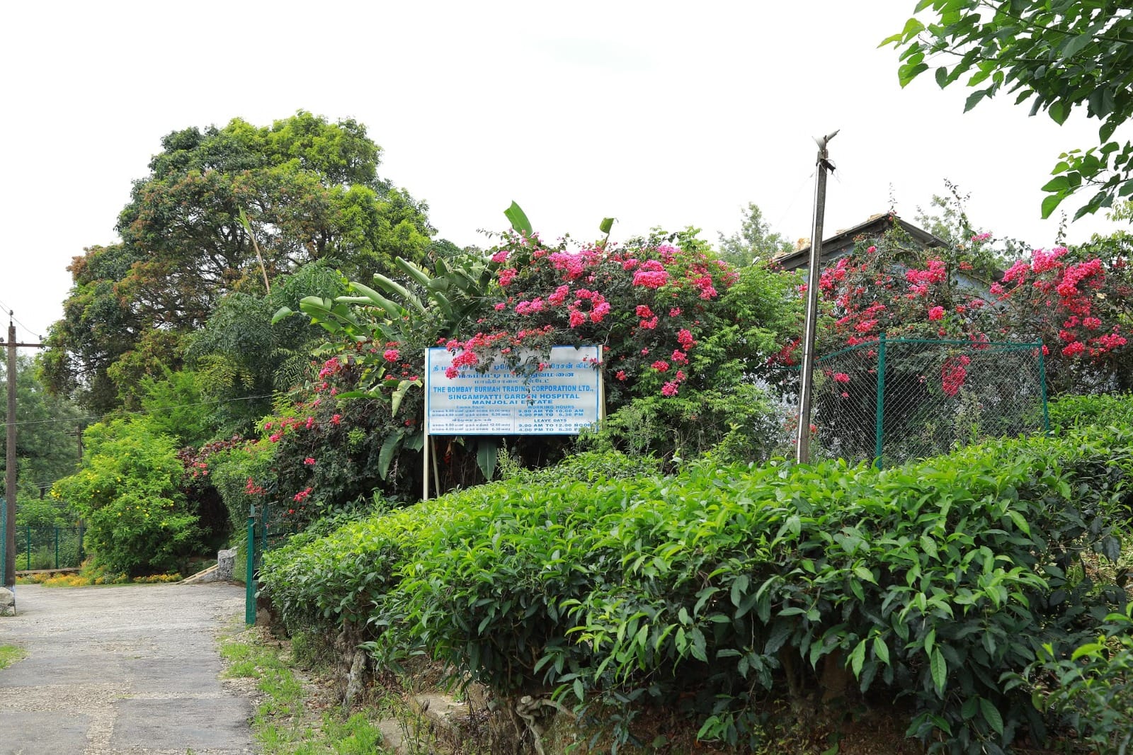 மாஞ்சோலை மக்கள் வெளியேற்றத்தில் தொடரும் மர்மங்கள்!