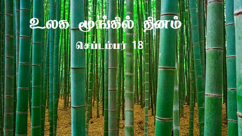 உலக மூங்கில் தினம்