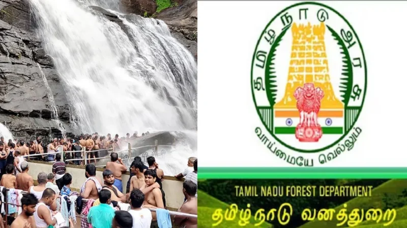 பழைய குற்றால அருவியை வனத்துறையிடம் ஒப்படைக்காதீங்கோ!