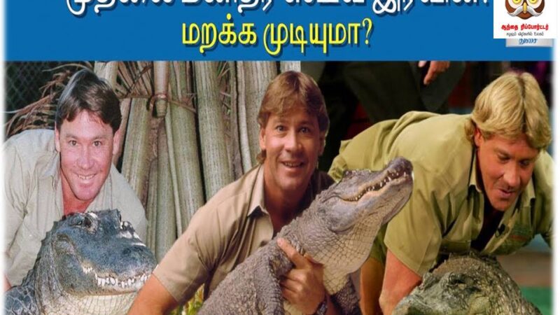 ‘முரட்டு முதலை வேட்டைக்காரன்’ ஸ்டீவ் இர்வின்!