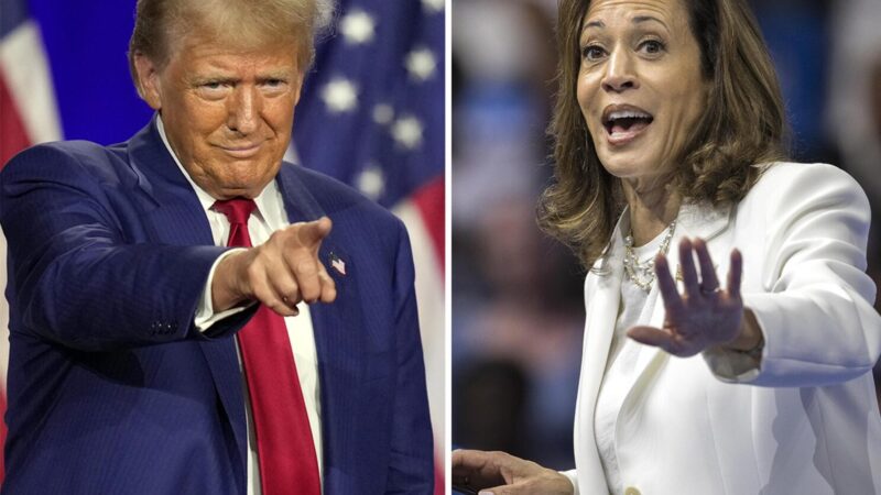 உங்கள் பொன்னான வாக்கை டிரம்புக்கு அளிச்சிடுங்கோ..ஏன்னா?