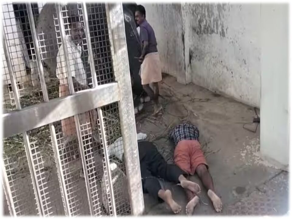 யானையால் சாகும் பாகன்! – காரணம் இதுதான்!