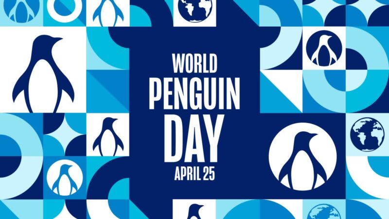 பன்னாட்டு பெங்குவின்கள் தினம்!