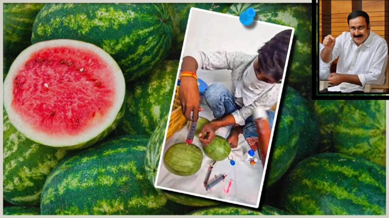 தர்பூசணி தொடர்பாக அர்த்தமற்ற வதந்தி: விழிப்புணர்வு தேவை- அன்புமணி இராமதாஸ்