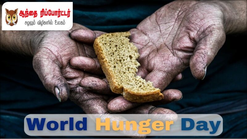 உலக பட்டினி நாள்: பசியற்ற உலகுக்கான நம் கூட்டுப் பொறுப்பு!