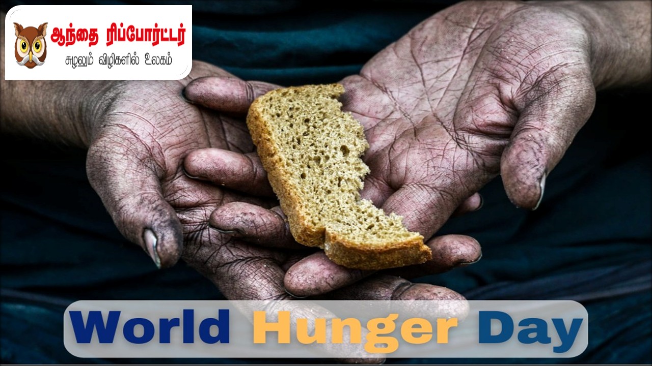உலக பட்டினி நாள்: பசியற்ற உலகுக்கான நம் கூட்டுப் பொறுப்பு!