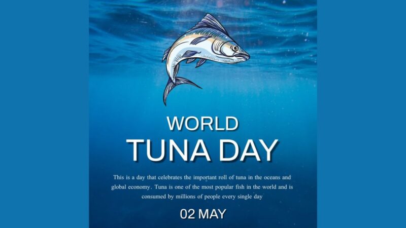 சூரை மீன்கள் தினமின்று!