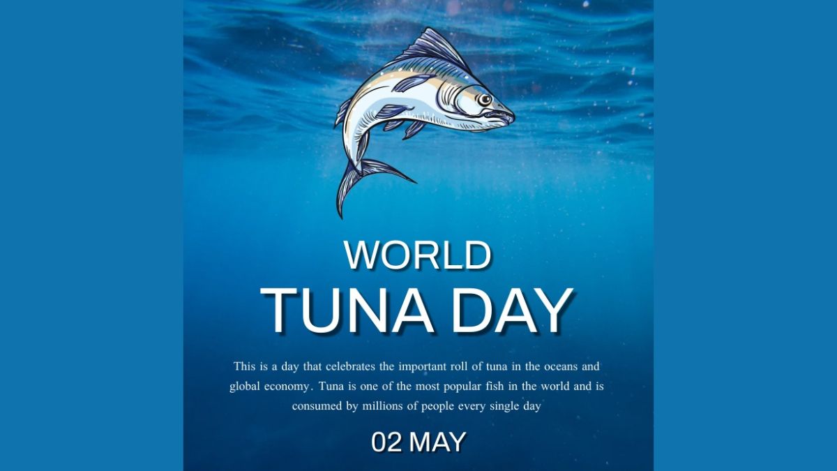 சூரை மீன்கள் தினமின்று!