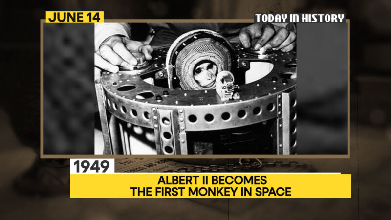 விண்வெளிப் பயணத்தின் தொடக்கப் பலி: ஆல்பர்ட் குரங்கின் நினைவு நாள்!