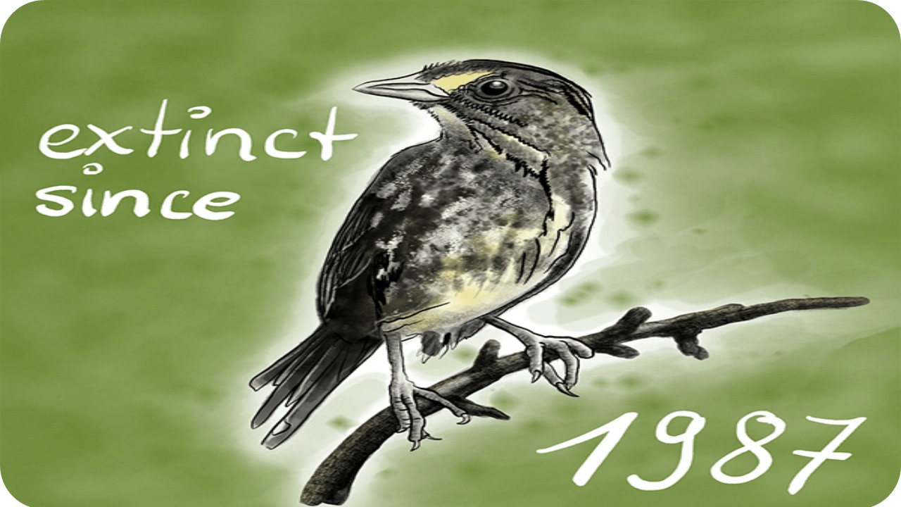 கடைசி ‘கரிய கடற்பகுதிக் குருவி’ மறைந்த துயர நாள் (1987)!