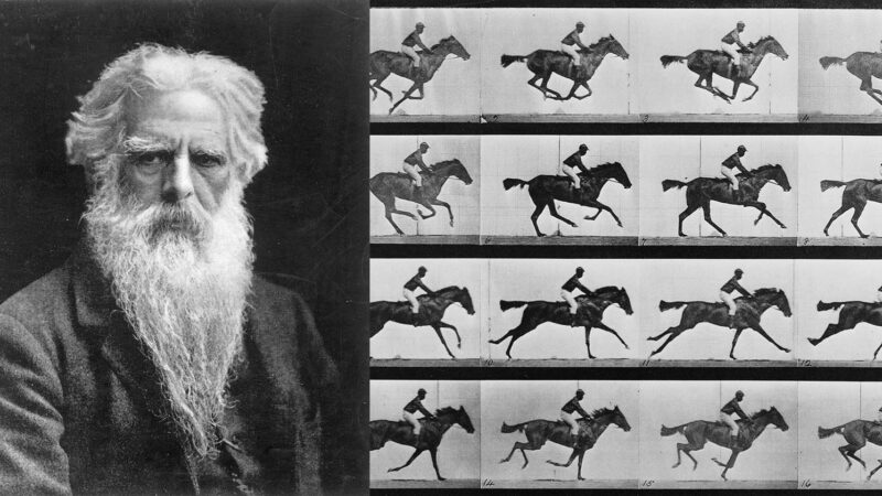 எட்வர்ட் மைபிரிட்ஜ் – இயக்கத்தைப் படம்பிடித்த ஒரு புரட்சி, அசையும் படத்தின் ஆணிவேர்!