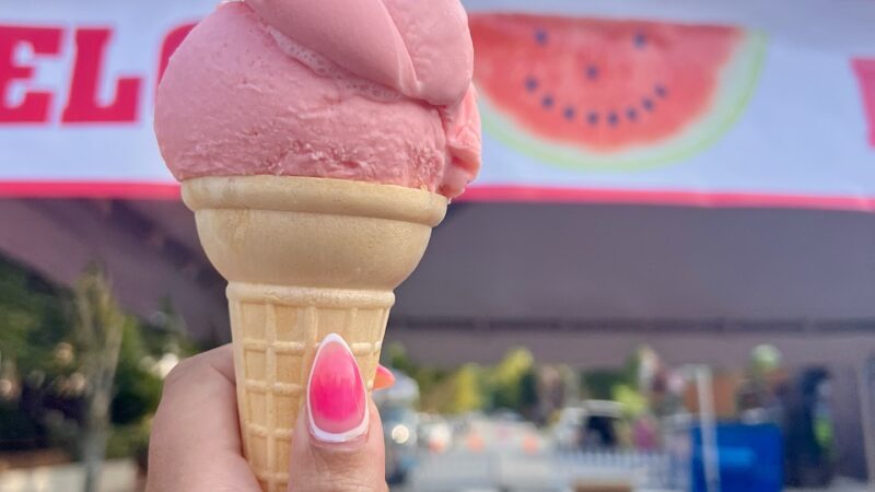 ஐஸ்க்ரீம் கோன் உருவான நாளின்று: ஒரு சுவாரஸ்யமான கதை!