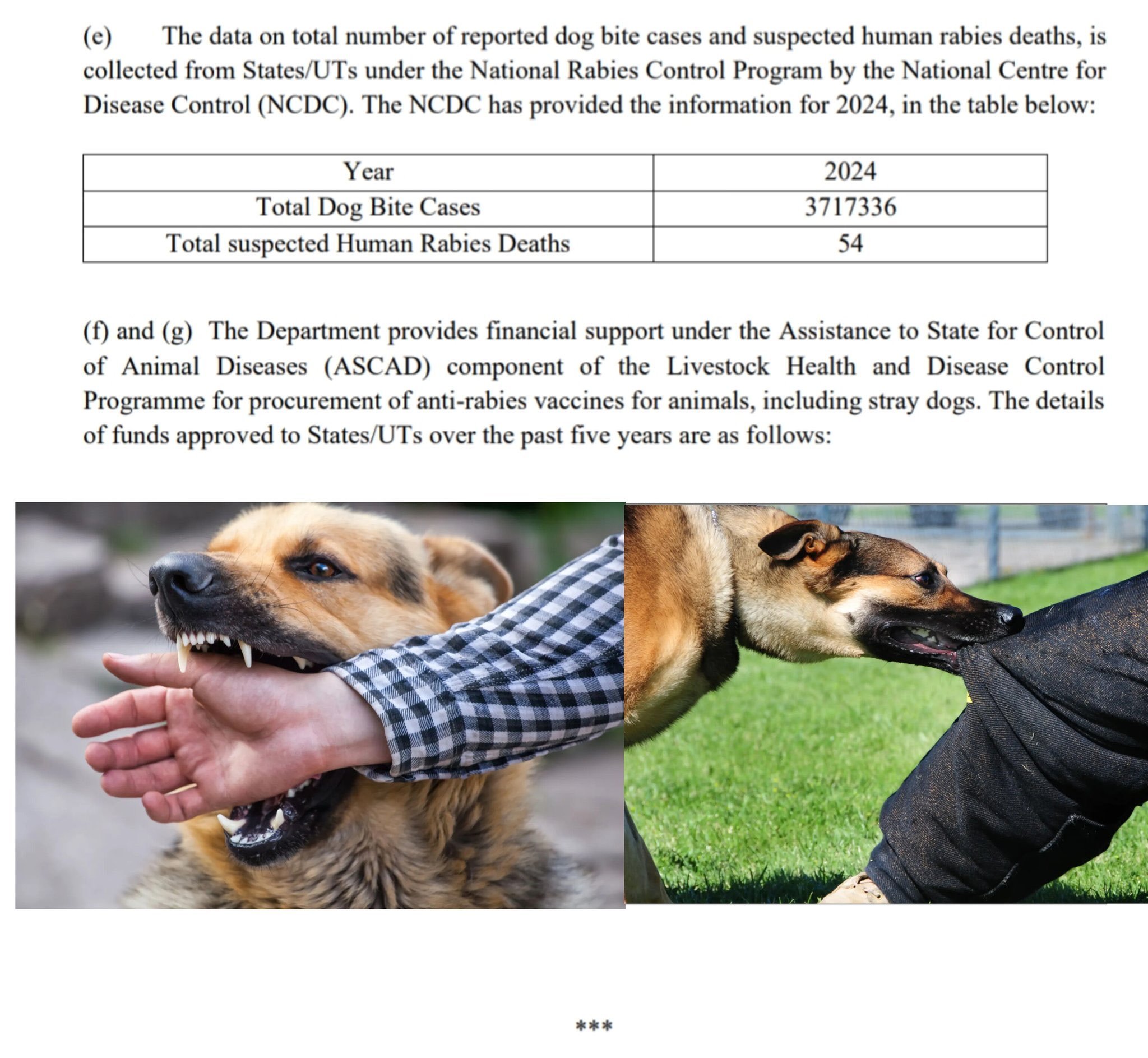 நாய் கடி சம்பவங்கள் & ரேபிஸ் மரணங்கள்: கவலை அளிக்கும் புள்ளிவிவரம்!