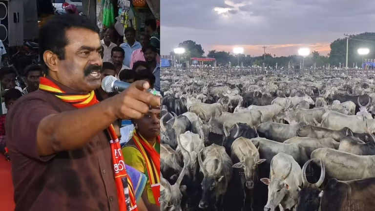 சீமான் நடத்திய ஆடு – மாடுகளின் மாநாடு: கால்நடைகளின் சார்பாக பேசியதன் முழு விபரம்!