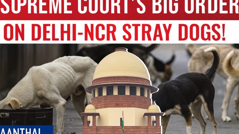 டெல்லி முழுக்க உள்ள தெருநாய்களை உடனடியாகப் பிடித்து காப்பகங்களில் அடைக்க சுப்ரீம் கோர்ட் உத்தரவு!
