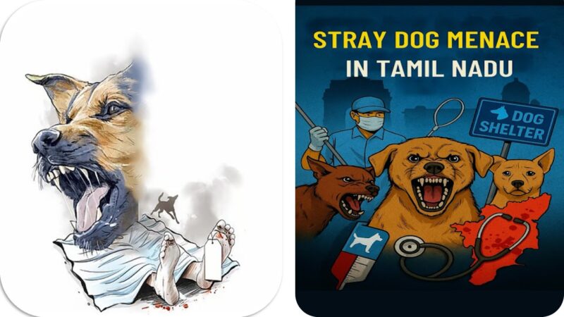 இரட்டை வேடமிடும் சமூகம்: நாய் கடிக்கும் நகரமும், கண்மூடி நிற்கும் அறமும்