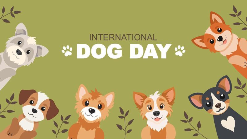 சர்வதேச நாய் தினம் @சர்வதேச நாய் வளர்ப்பு தினம்!