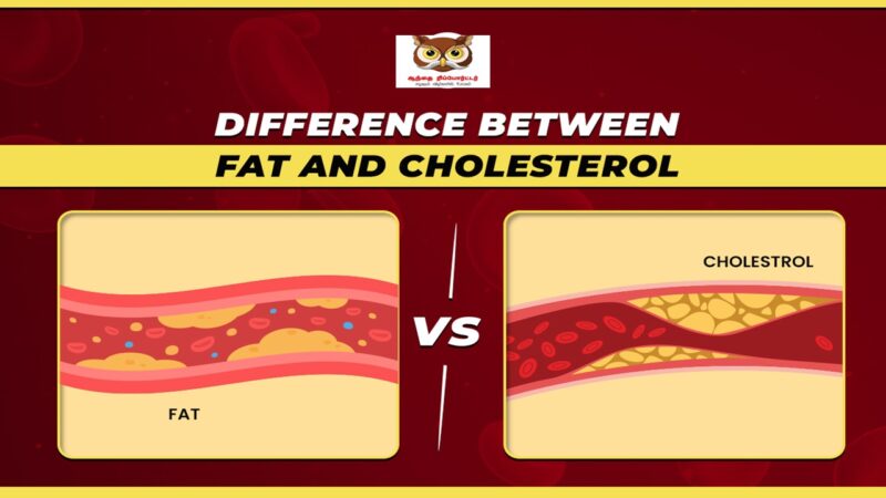 கொழுப்பு Vs. கொலஸ்ட்ரால்: இரண்டும் ஒன்றா? ஒரு மருத்துவ விளக்கம்