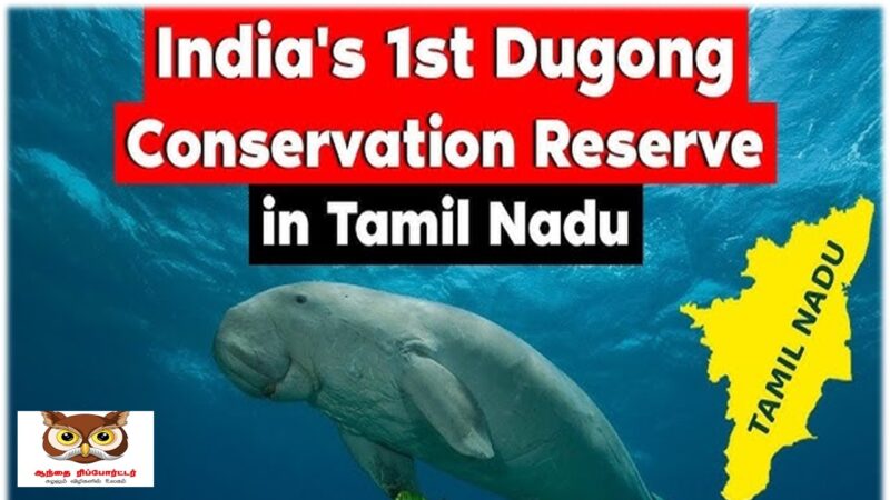 இந்தியாவின் முதல் கடற்பசுப் பாதுகாப்பகத்துக்கு உலகளாவிய அங்கீகாரம்!