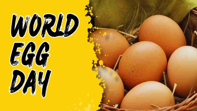 உலக முட்டை தினமின்று!