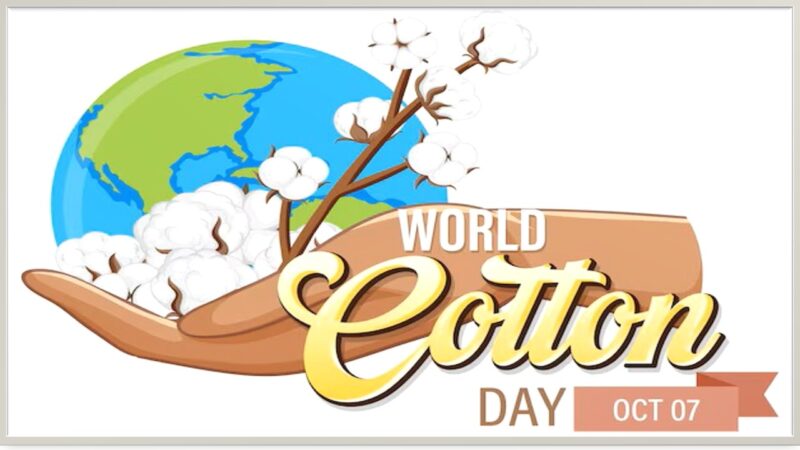 உலகப் பருத்தி தினம்: நாகரிகத்தின் அடிப்படை! 🌱