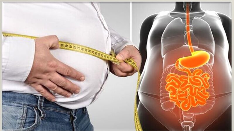 🤰 நாம் ஏன் குண்டாகிறோம்? தொப்பைக்குக் காரணமான ‘கார்போஹைட்ரேட்’ சாம்ராஜ்யம்!