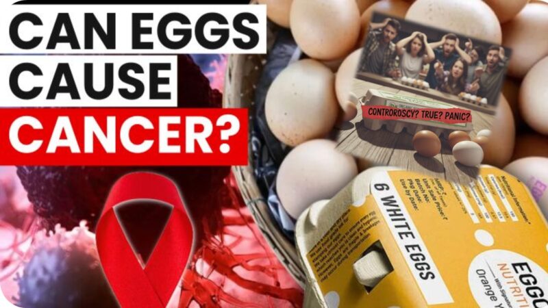 🥚’ஆர்கானிக் முட்டை’ சர்ச்சை: உண்மை என்ன?
