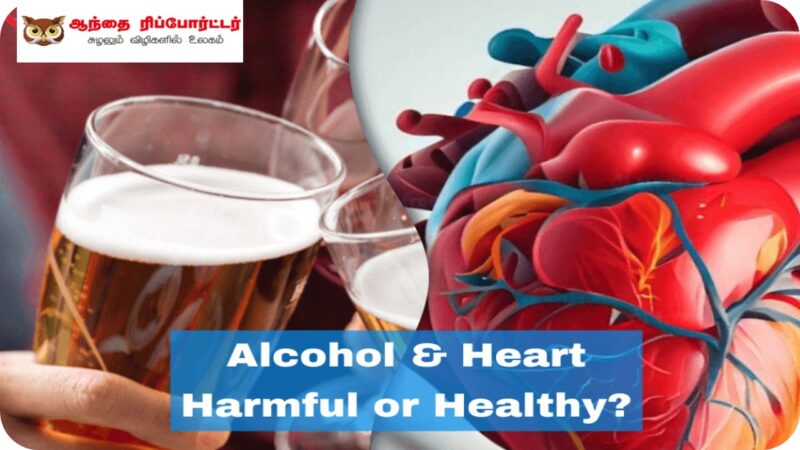 “மது மருந்தல்ல, இதயத்திற்கு ஆபத்தே”: அதிர வைக்கும் புதிய ஆய்வறிக்கை!