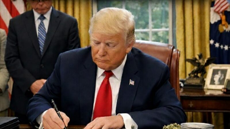 அமெரிக்காவில் கஞ்சா இனி மருந்து!-டிரம்ப்பின் வரலாற்றுச் சிறப்புமிக்க உத்தரவு!