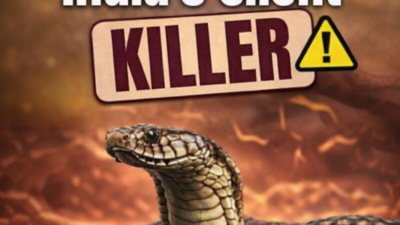 5 நிமிடத்துக்கொரு 1 மரணம்: இந்தியாவின் ‘விஷ’க் கடிகாரம்! -ஷாக் ரிப்போர்ட்