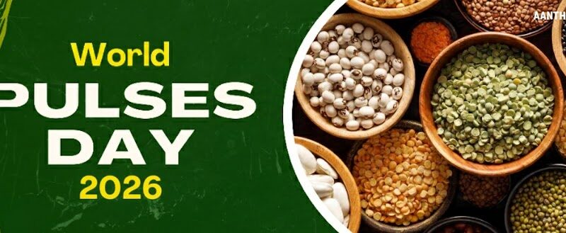 பருப்பு வகைகள்: நம் தட்டில் இருக்கும் ‘ஊட்டச்சத்து’ காப்பகம் – இன்று உலக பருப்பு தினம்!