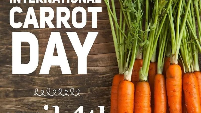 சர்வதேச கேரட் தினம்-ஆரோக்கியம் தரும் ஆரஞ்சு அதிசயம்!