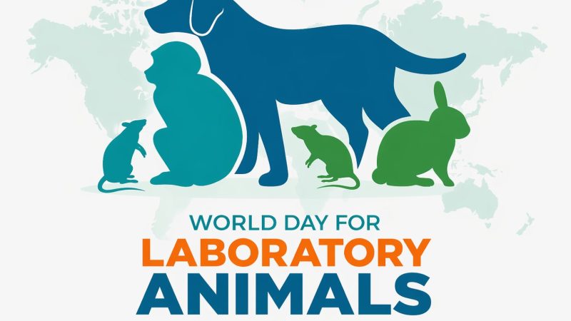 மௌனமான மரண ஓலங்கள்:உலக ஆய்வக விலங்குகள் நாள் 2026