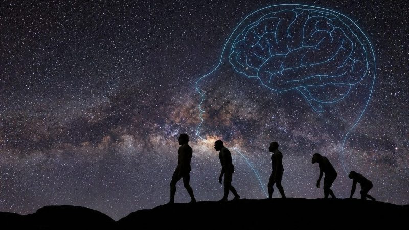 மனிதப் பரிணாமம் இன்னும் முடியவில்லை: மரபணுக்கள் சொல்லும் புதிய உண்மைகள்!