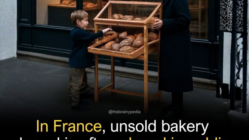 🥖பிரான்சின் ‘மன்னிப்புக் கோரும் ரொட்டிப் பெட்டி’: உணவு விரயத்தைத் தடுக்கும் சமூக முயற்சி!