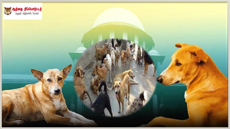 தறி கெட்ட நிர்வாகத்தின் குறியீடு: தெரு நாய்களும் சொரணை கெட்ட அரசின் மெத்தனமும்!