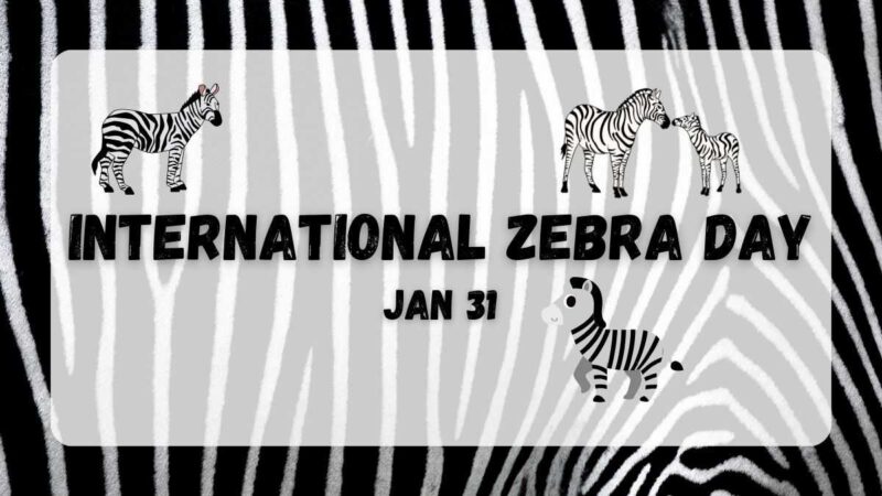 சர்வதேச வரிக்குதிரை தினம் : இயற்கையின் அற்புதக் கோடுகளைப் பாதுகாப்போம்!