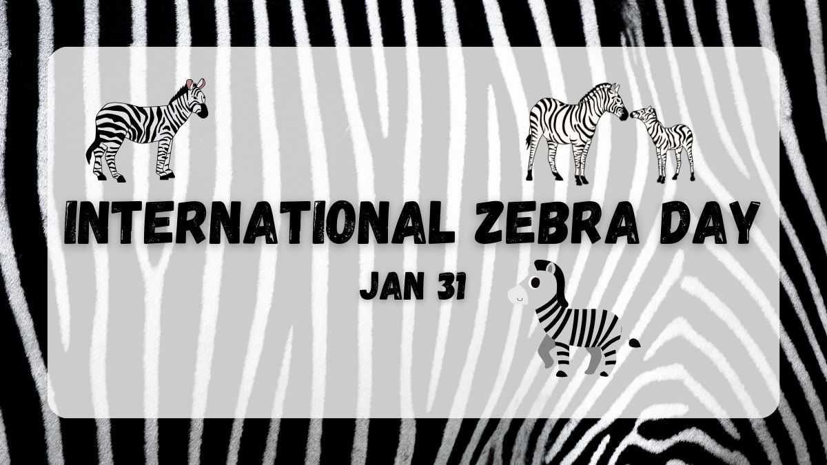 சர்வதேச வரிக்குதிரை தினம் : இயற்கையின் அற்புதக் கோடுகளைப் பாதுகாப்போம்!