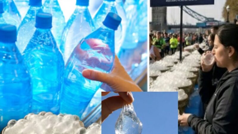 கடல் பாசியில் குடிநீர்: பிளாஸ்டிக் யுகத்திற்கு முடிவுரை!